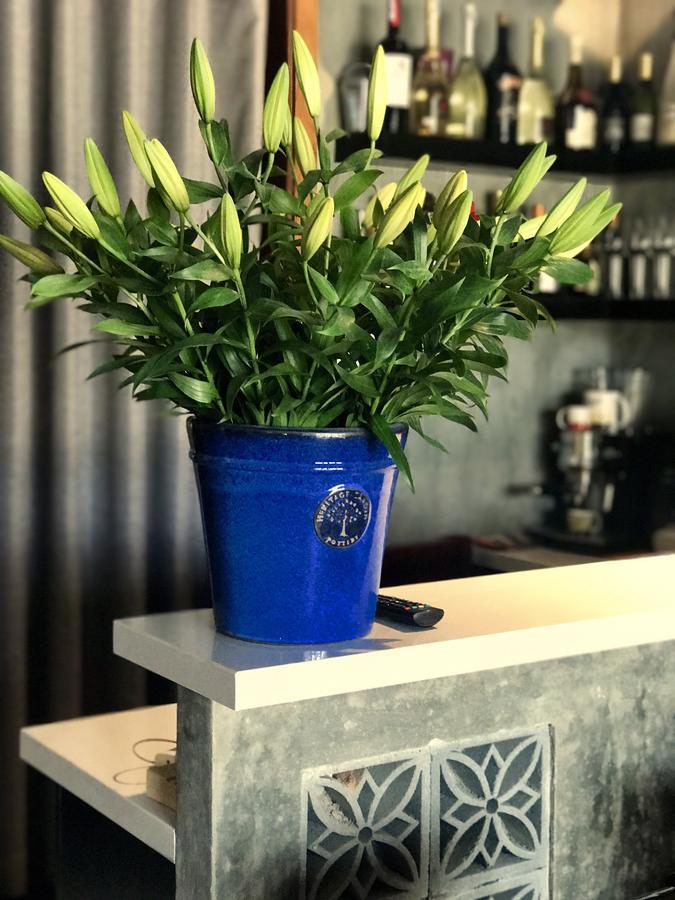 Danang Moment - Boutique Serviced Apartment Eksteriør bilde