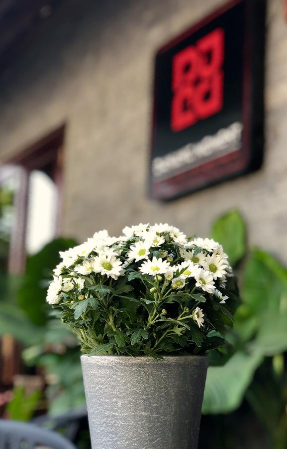 Danang Moment - Boutique Serviced Apartment Eksteriør bilde